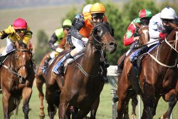 Melbourne Cup
