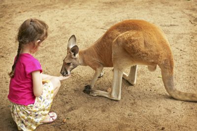 Melbourne Zoo
