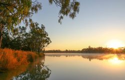 Murray River