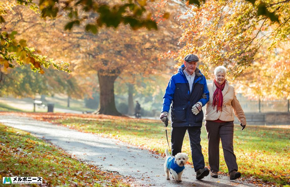 Autumn Park Walk