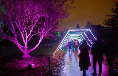 Lightscape