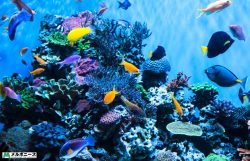 Melbourne Aquarium