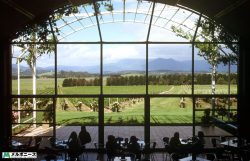 VIC Winery