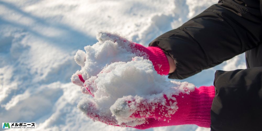 Type of snow