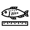 Measure Fish