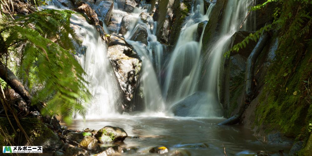 Olinda Falls