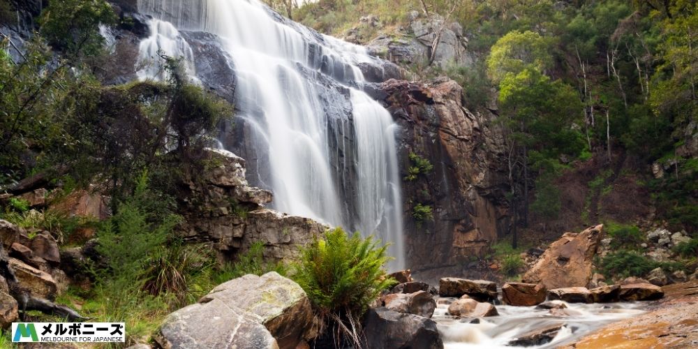 MacKenzie Falls
