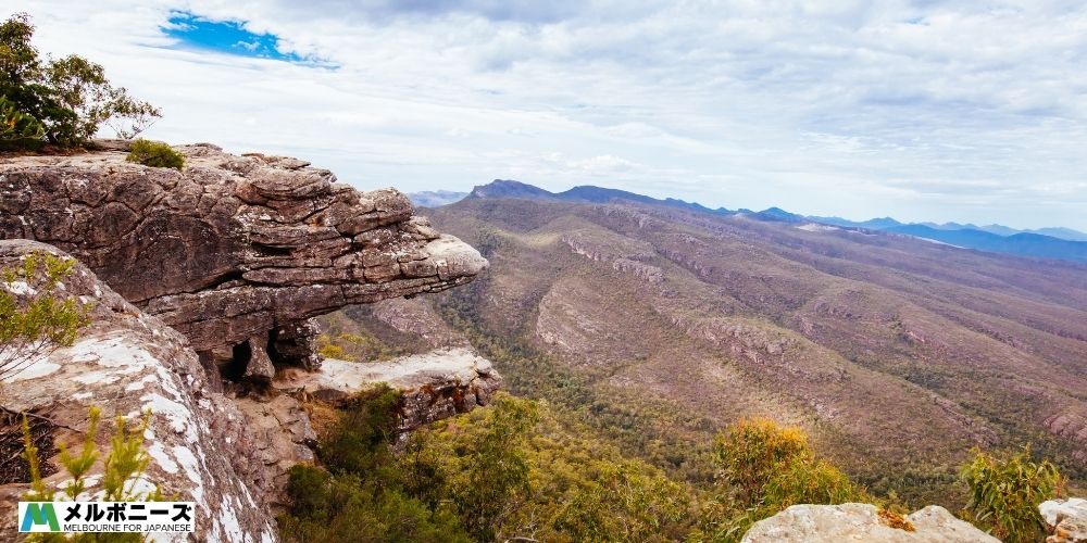 Reeds Lookout